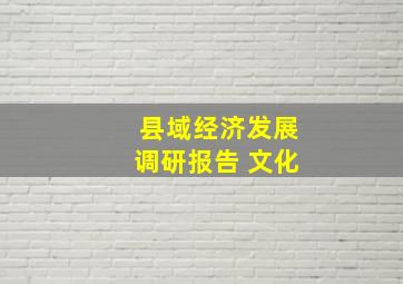 县域经济发展调研报告 文化